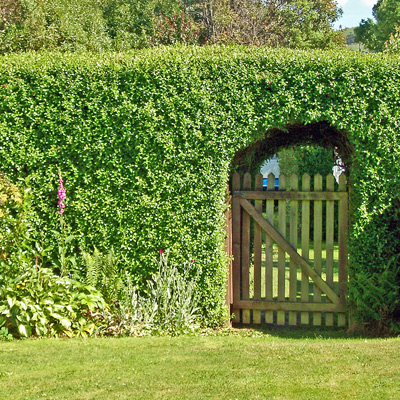 A 2004 photo of a garden gate in Akaroa, Canterbury, New Zealand.