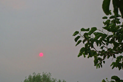 Smoke and ash from the Wallow Fire in Arizona caused the sun to appear violet-red at sunset, Wednesday, June 8, 2011.