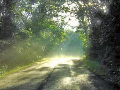 An Image of a sunlit Path.