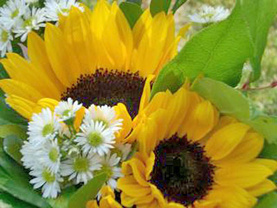 A photo of a sunflower bouquet.