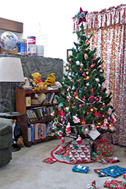 A photographic image of our Christmas tree in 2010.