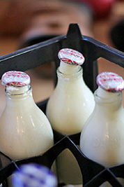 A photographic image of frozen milk coming out of milk bottles.