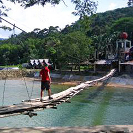 A photographic image of a swinging bridge.