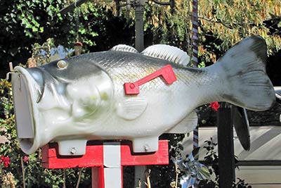 A photographic image of a fish mailbox.
