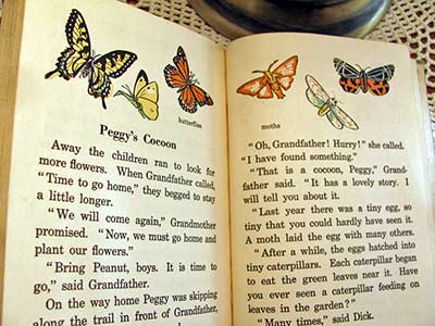 A photographic image of a page about butterflies in a children's reader.