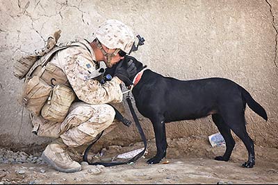 A photographic image of a soldier cuddling a dog.