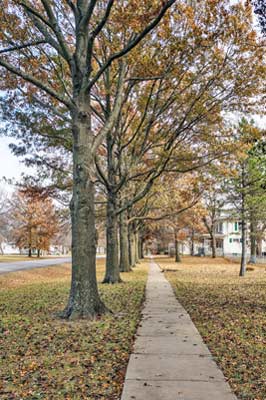 A photographic image of a sidewalk during an early morning walk